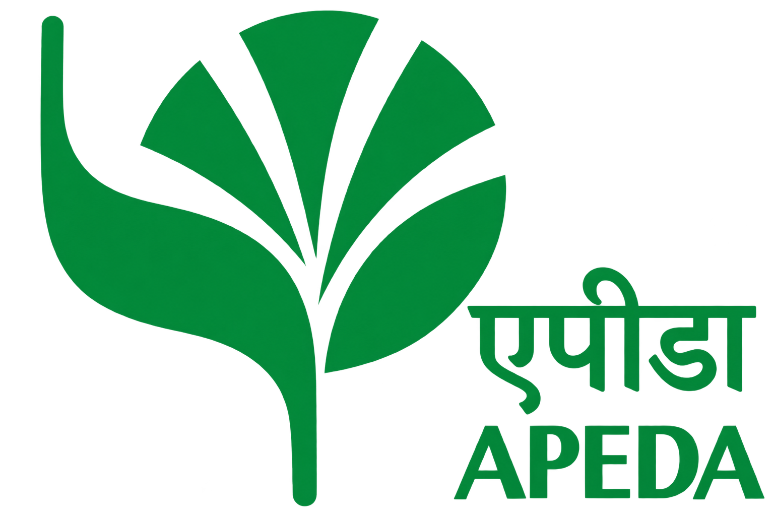 APEDA Certificate